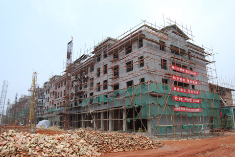 "   2009年3月,衡东县委,县政府提出"一河两岸"拓城构想,该县县城河西