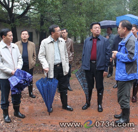中国衡阳新闻网 www.e0734.com