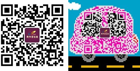 中国衡阳新闻网 www.e0734.com