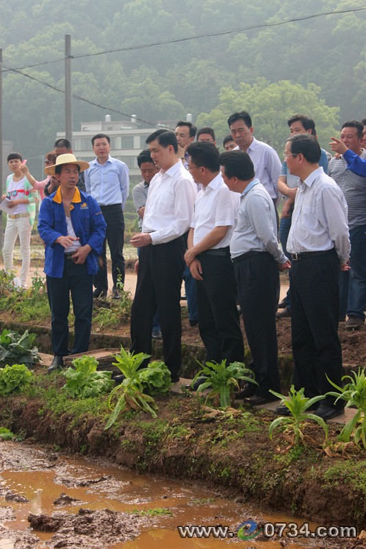 中国衡阳新闻网 www.e0734.com