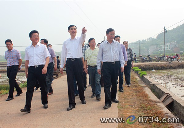 中国衡阳新闻网 www.e0734.com