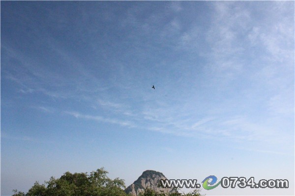 中国衡阳新闻网 www.e0734.com