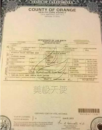 出生人口统计证明_上海市出生人口统计(2)