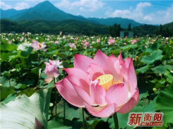 中国衡阳新闻网 www.e0734.com