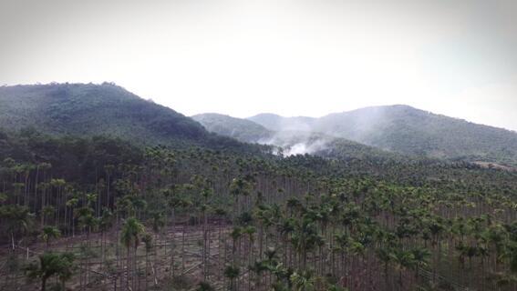 中国衡阳新闻网 www.e0734.com