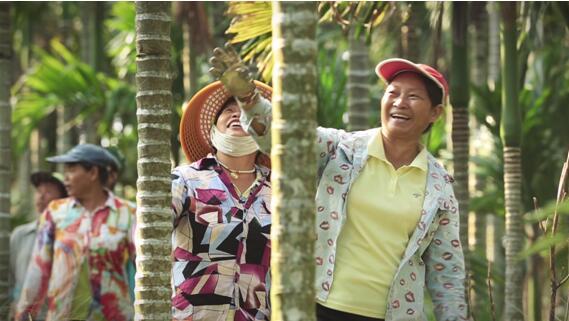 中国衡阳新闻网 www.e0734.com