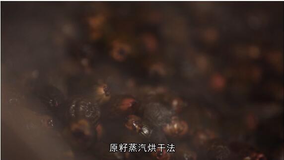 中国衡阳新闻网 www.e0734.com