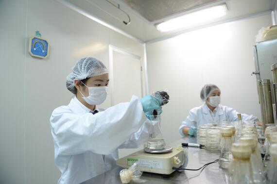 中国衡阳新闻网 www.e0734.com