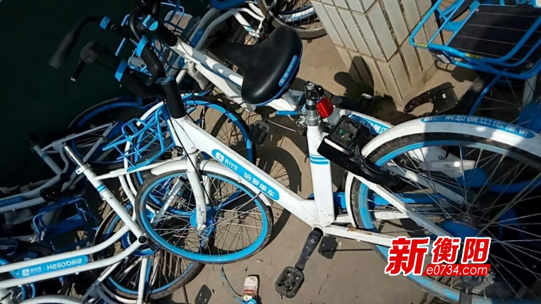 向不文明行为说不:哈罗单车在衡破坏率近40