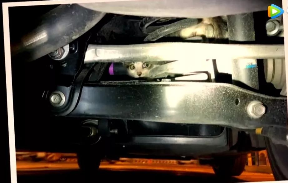 甜炸！这位“最帅的警察”火了，官微不淡定了